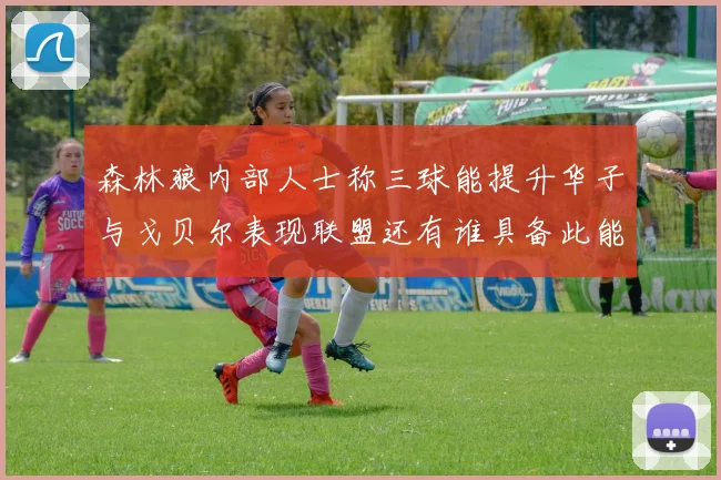 森林狼内部人士称三球能提升华子与戈贝尔表现联盟还有谁具备此能力